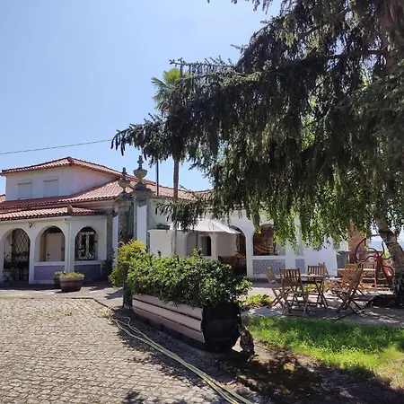 Casa Da Real Companhia Pensionat Lamego