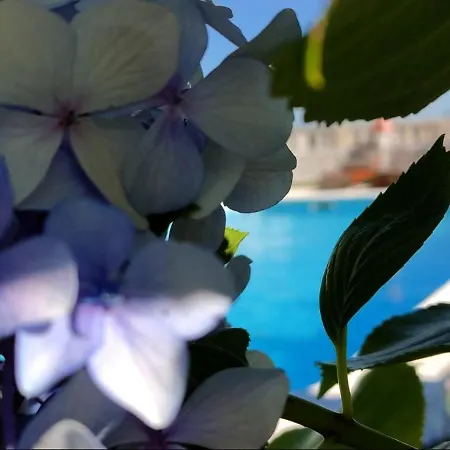 Casa Da Real Companhia