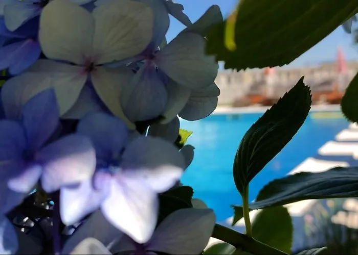 Casa Da Real Companhia